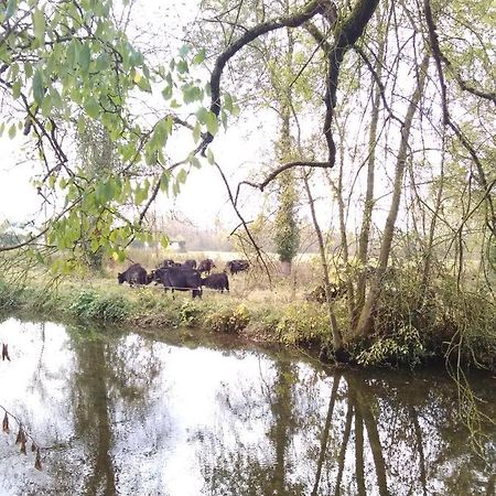 Beaulieu-lès-Loches Gite " Jardin Peyrona" Visite Zoo Beauval Et Chateaux De Loire מראה חיצוני תמונה