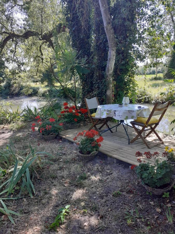 Beaulieu-lès-Loches Gite " Jardin Peyrona" Visite Zoo Beauval Et Chateaux De Loire מראה חיצוני תמונה