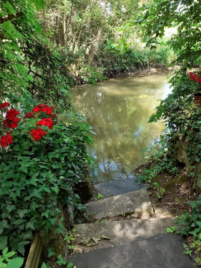 Beaulieu-lès-Loches Gite " Jardin Peyrona" Visite Zoo Beauval Et Chateaux De Loire מראה חיצוני תמונה