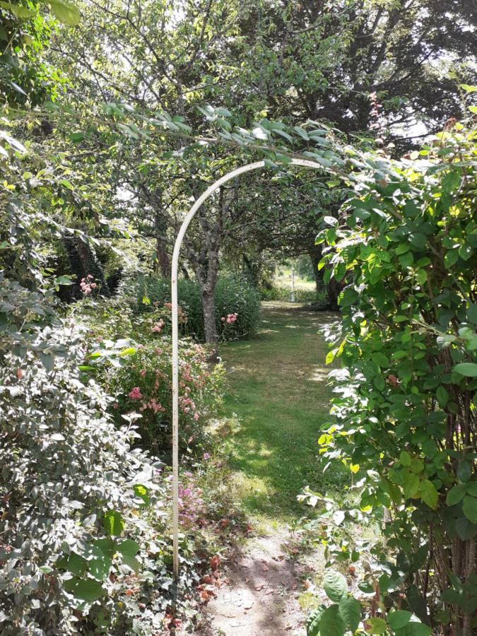 Beaulieu-lès-Loches Gite " Jardin Peyrona" Visite Zoo Beauval Et Chateaux De Loire מראה חיצוני תמונה