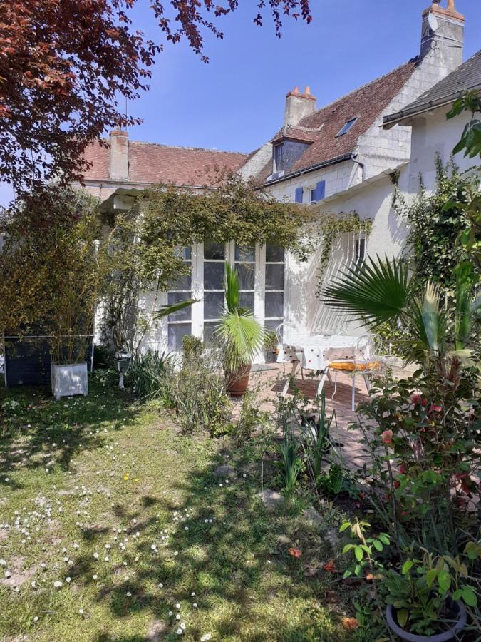 Beaulieu-lès-Loches Gite " Jardin Peyrona" Visite Zoo Beauval Et Chateaux De Loire מראה חיצוני תמונה